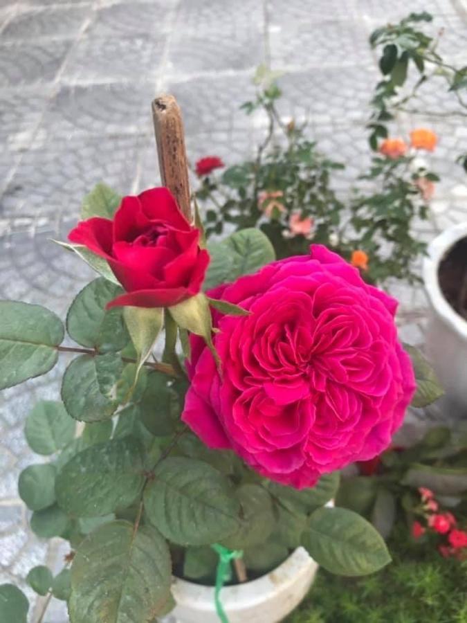 הוי אן B & B Accommodation Service מראה חיצוני תמונה